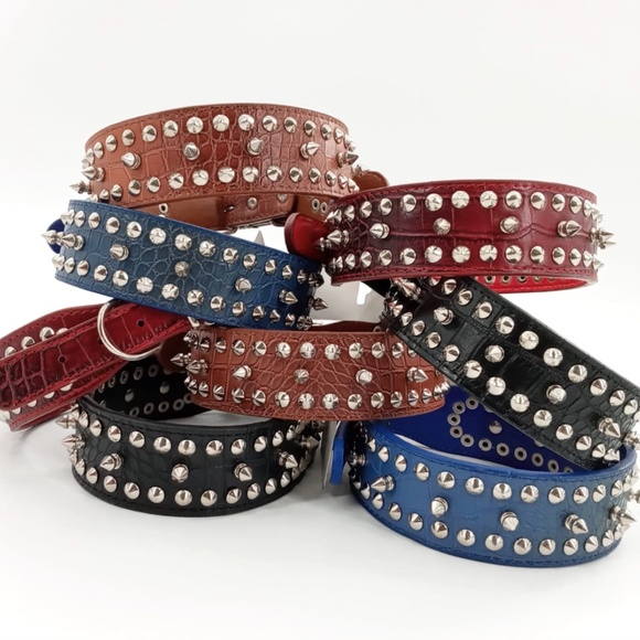 Other - 1 Studded Spiked Dog Leather Collar